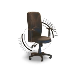 Silla Ergón Fraque Presidente – Línea Ergonómica