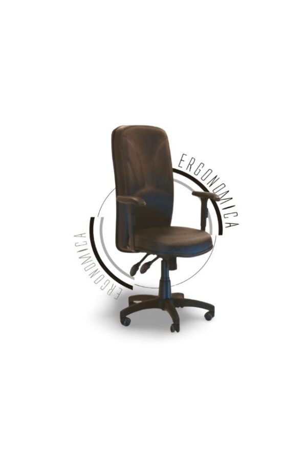 Silla Ergón Fraque Presidente – Línea Ergonómica