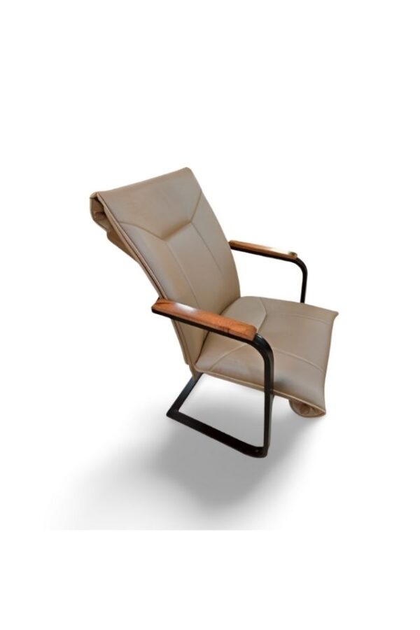 Silla Ruby Presidente – Con Brazos de Madera y Base Continua